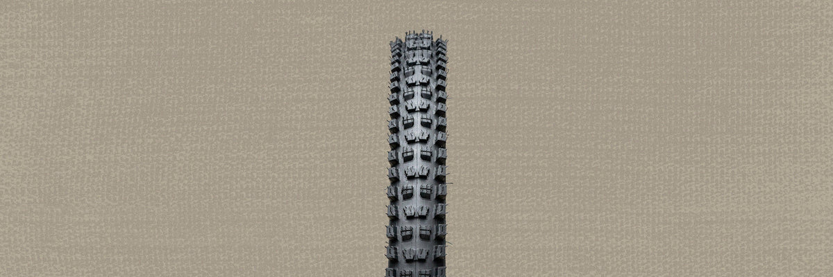 Soil Searching/Tan Sidewalls