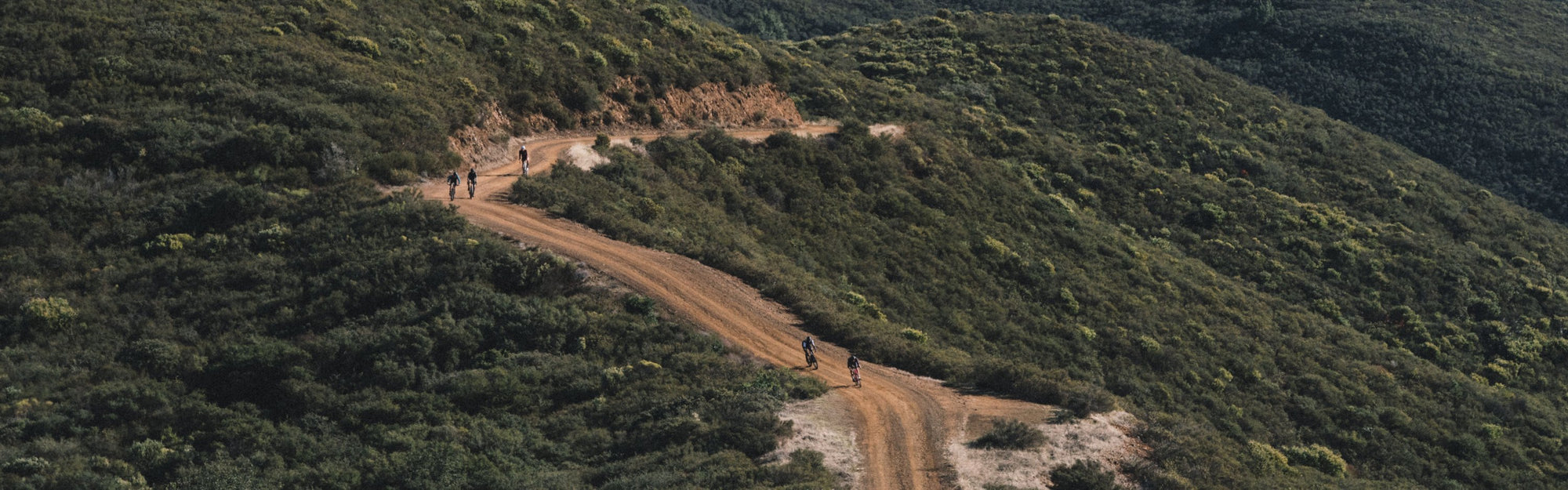 Adventure & Gravel Bikes