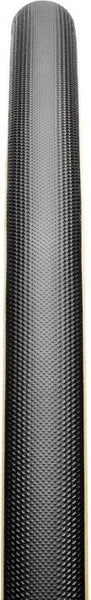 Black/Transparent Sidewall